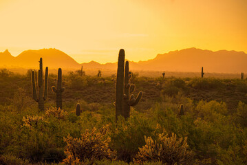 Sunrise in Phoenix © Penny Britt