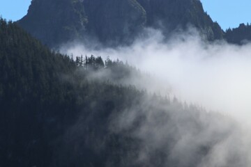 fog in the mountains