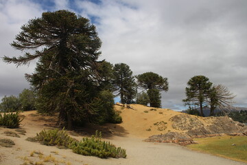 beautiful landscape of patagonia argentina

