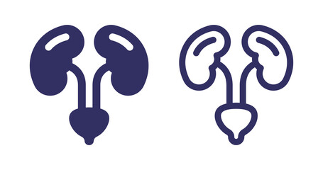 Urinary system icon vector illustration.