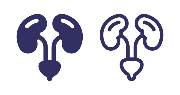 Urinary System Icon Vector Illustration.