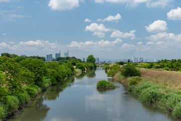 Fototapeta premium 新都心の青空