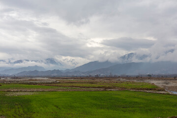 Beautiful scenery of green fields on a cloudy day