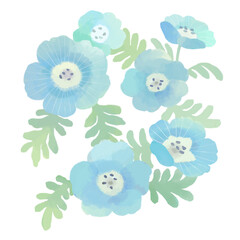 Nemophila illustration / ネモフィラのイラスト