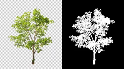 Tuinposter Tree on transparent picture background with clipping path, single tree with clipping path and alpha channel © Sarawut