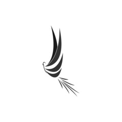 bird logo illustration