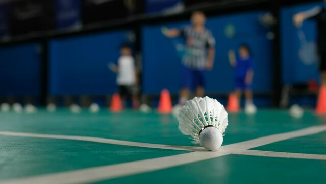 Badminton shuttlecock on a green floor 
