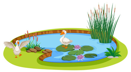 Ducks in a pond in cartoon style