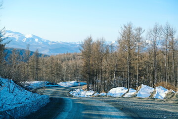 The road along the forest with snow.