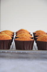 Cupcakes, selective focus, one portion cakes, depth of field