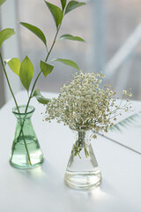 Bouquet of dried and wilted green Gypsophila flowers in glass bottle