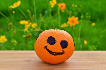 mandarin oranges painted black happy mood on plank background flowers nature green grass field blur