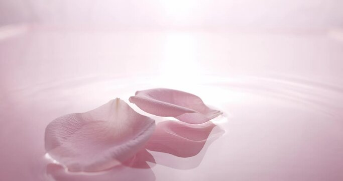 Calm clear water with falling pink rose petals