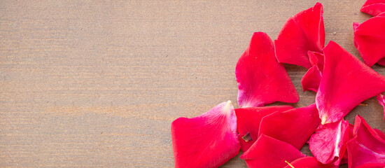 Banner with red rose petals on a brown out-of-focus background with copy space