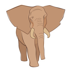 African elephant. Stylish drawing. Animal on a white background