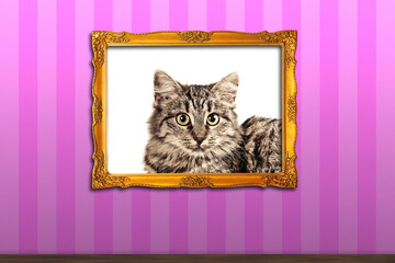 portrait of a cat framed and hang on a wall