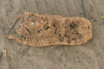 slippers left on the desert for long years effect of dryness sun and occasional rain
