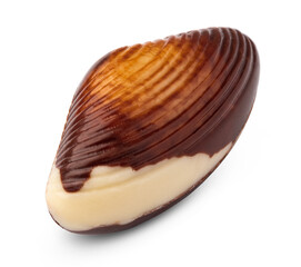 Chocolate sweets shaped as seashells isolated on white background