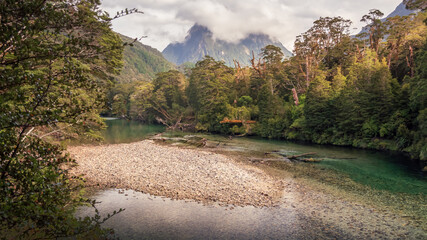Panoramic Scene of the Milford Track