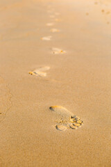Foot print in the fine sand beach, foot step, evening day light, vertical style