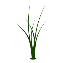 green grass in a vase