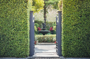 The iron gate is covered with green plants.
