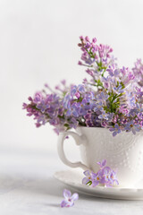 Cup with lilac flowers on white background. Spring time. Vase with lilac. Close up. Vertical. The concept of holidays and good morning wishes. Spring vibes