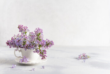 A porcelain cup with lilac flowers in it. Home decoration. Springtime vibes. Tender floral greeting card, poster, invitation design, background. Copy space. Floral shop.