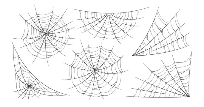 Scary spider webs. Black cobweb silhouette isolated on white background. Set of doodle spidewebs. Hand drawn cob webs for Halloween party. Vector illustration.
