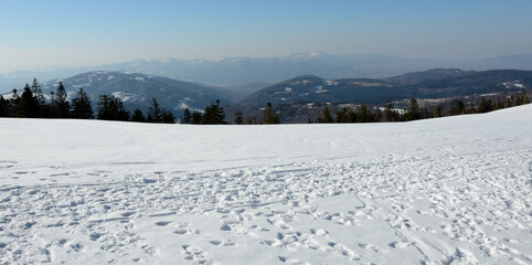 Fototapeta na wymiar Winter in the mountains. Beskid Żywiecki