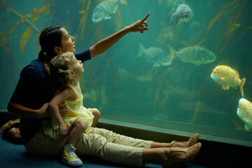 Shes focused on those fish. Cropped shot of a little girl on an outing to the aquarium.
