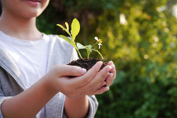 Girl hand holding young plant on blur green nature background. Earth day concept.