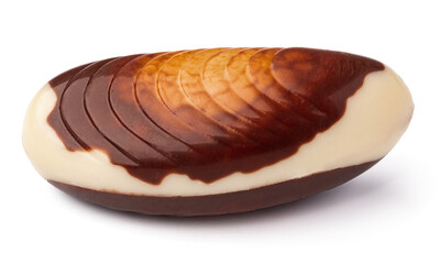 Chocolate sweets shaped as seashells isolated on white background
