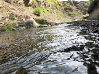 Obraz premium small cold river in the forest