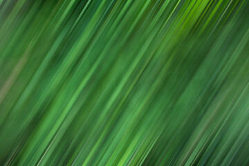 Nature of green leaf in garden at summer. Natural green leaves plants using as spring background cover page environment ecology or greenery wallpaper