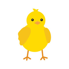 Cute yellow baby chicken for easter design. Little yellow cartoon chick. Vector illustration isolated on white background