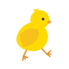 Cute yellow baby chicken for easter design. Little yellow cartoon chick. Vector illustration isolated on white background