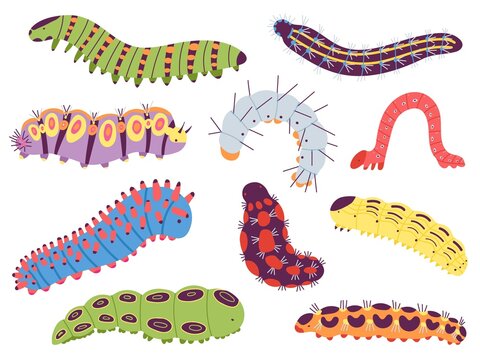 Spring caterpillars. Cartoon insect caterpillar, cute garden and forest wildlife animal. Doodle summer centipede, funny baby lavra decent vector set