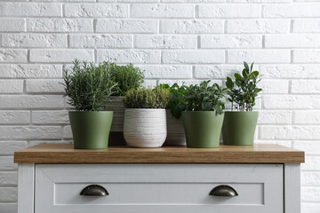 Different aromatic potted herbs on chest of drawers near white brick wall