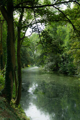 Fototapeta na wymiar View to a river and trees