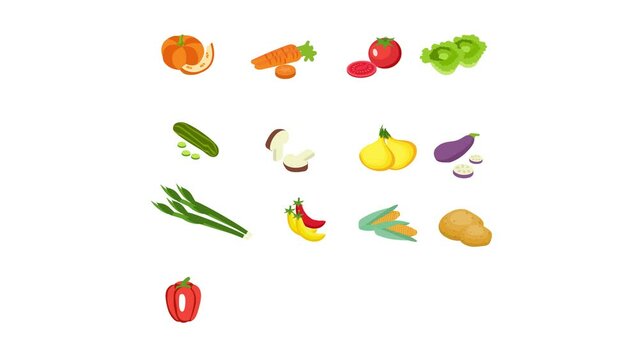 Various fresh vegetables with white background