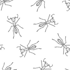 Seamless pattern of monochrome ants illustration. Vector illustration template