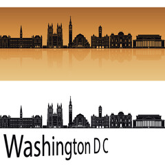 skyline in ai format of the city of  washington dc