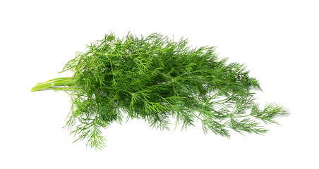 Dill Sprigs Isolated