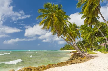 Fototapeten Barbados © Fyle