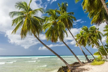 Foto op Plexiglas Barbados © Fyle