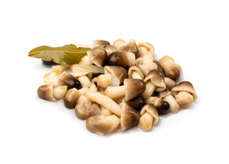 Pickled Straw Mushrooms Isolated