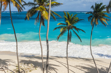 Fototapeta premium Bottom Bay beach