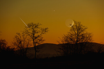 Crescent Moon with stars, planets and tree silhouettes on evening sky.