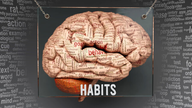 Habits Anatomy - Its Causes And Effects Projected On A Human Brain Revealing Habits Complexity And Relation To Human Mind. Concept Art, 3d Illustration